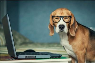 A beagle wearing black-framed glasses sits beside an open laptop on a table, looking directly at the camera.