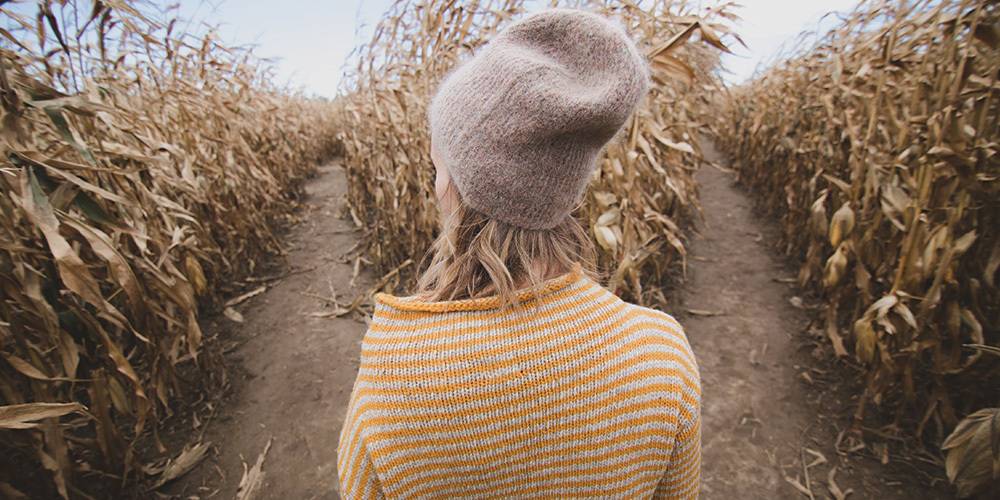 A person wearing a striped sweater and knit hat stands at a fork in a corn maze, facing two diverging dirt paths between tall, dry cornstalks.