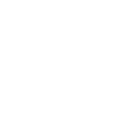 Canadian Tire logo with a white background, featuring a white triangle with a maple leaf at the top and the words "Canadian Tire" in bold uppercase letters.